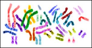 Human Genome Sequencing