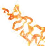 Proteome Ribbon Image