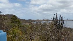 Scenic View of Northern Bonaire Island - Goto Lake Reserve