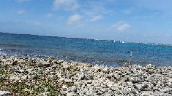 Scenic View of Eastern Bonaire Island - Lac Bay Beach