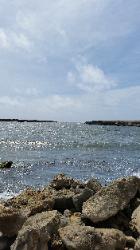 Scenic View of Eastern Bonaire Island - Lagoen Beach
