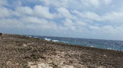 Scenic View of Eastern Bonaire Island - Coast of Washikemba