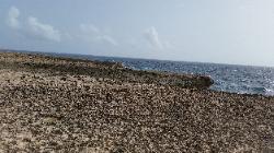Scenic Views of Washington Slagbaai National Park in Northwest Bonaire - A Beach Scenery