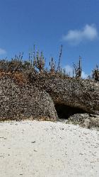 Scenic Views of Washington Slagbaai National Park in Northwest Bonaire - A cave in Reina Maxima Marine Reserve