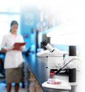 Clinical Medicine Healthcare