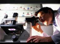 General Pathology Lab