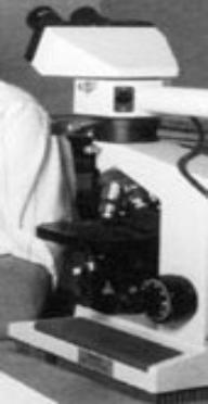 General Pathology Lab