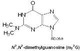 Medical Biochemitry