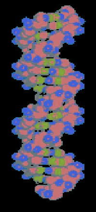 Medical Genetics