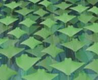 Molecular Cell Biology