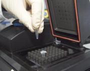 Molecular Cell Biology