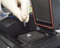 Molecular Cell Biology lab