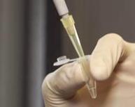 Molecular Cell Biology Lab
