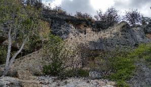 1000 Steps Beach for recreational diving & shore snorkeling in Bonaire Island located in Caribbean Netherlands, The Netherlands, European (EU)