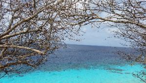 1000 Steps for recreational diving & shore snorkelling in Bonaire Island located in Caribbean Netherlands, The Netherlands, European Union (EU)