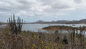 Goto Lake Reserve in Bonaire Island located in Caribbean Netherlands, The Netherlands, European Union (EU)