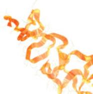 Proteome Ribbon Image