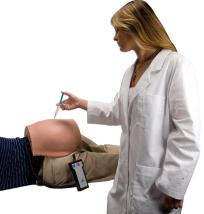 Buttock Injection Simulator Model